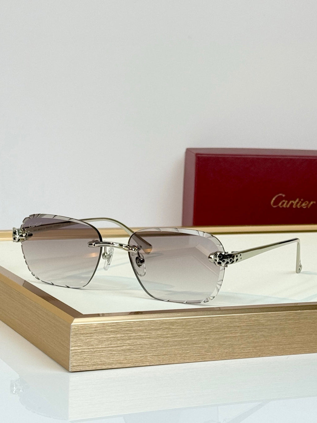 Cartier CT7450S Sunglasses